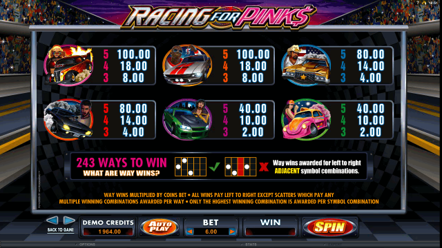 Игровой интерфейс Racing For Pinks 8